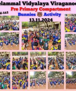 BUNNIESACTIVITY_