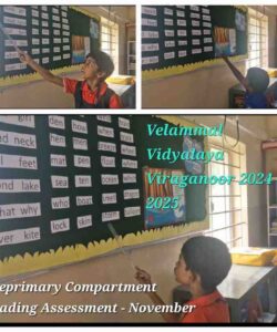 NOVEMBERREADINGASSESSMENT_